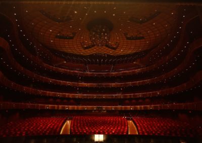 David-Koch-H.-Theater-at-LinDavid-Koch-H.-Theater-at-Lincoln-Centercoln-Center